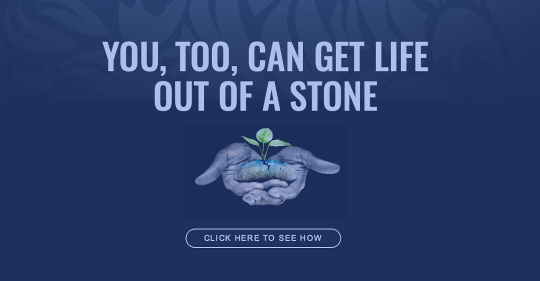 You Too Can Get Life Out Of A Stone